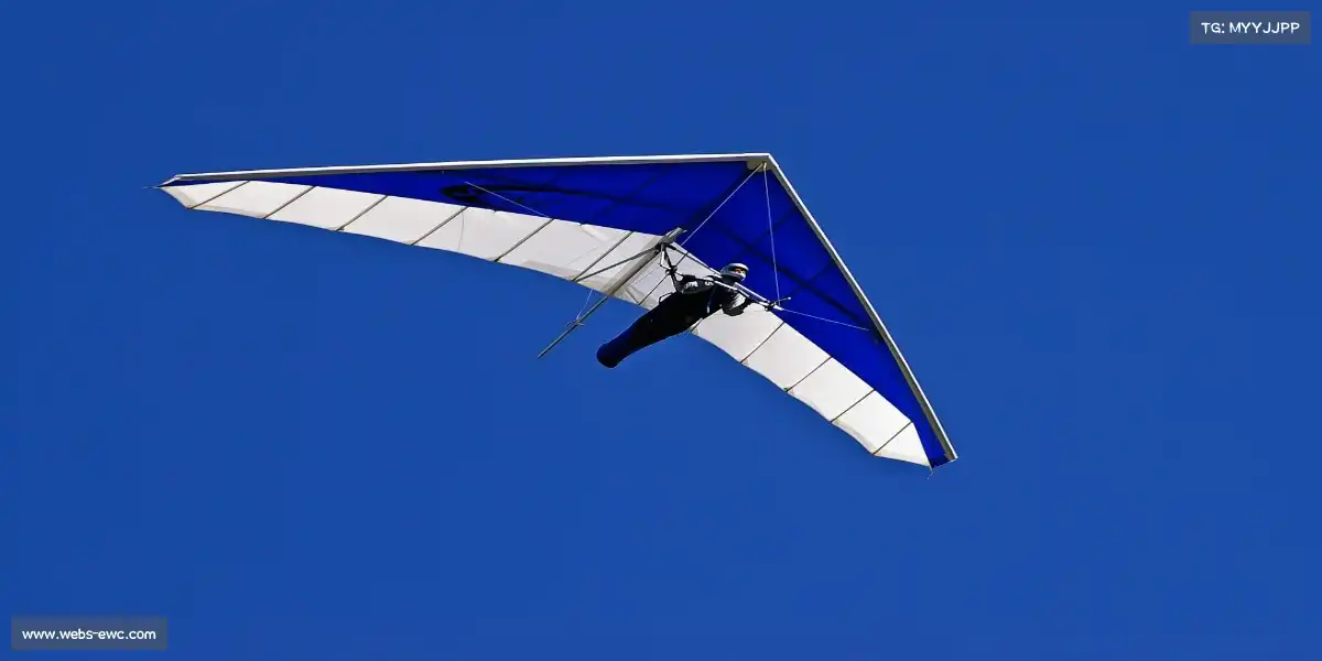 ewc电竞世界杯官网——🤾‍♂️🌟 空中接力，飞虹贯日！